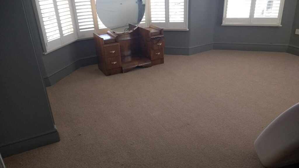 wool carpets in kings lynn